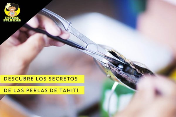 Perles de Tahiti : la perle noire de Polynésie