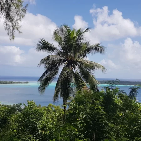 Paysage de Bora Bora