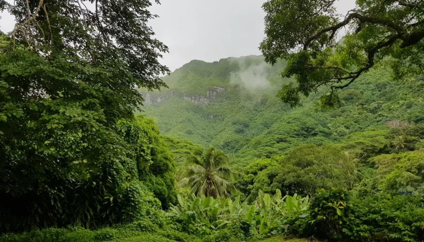 Île de Huahine avec cascade en arrière-plan