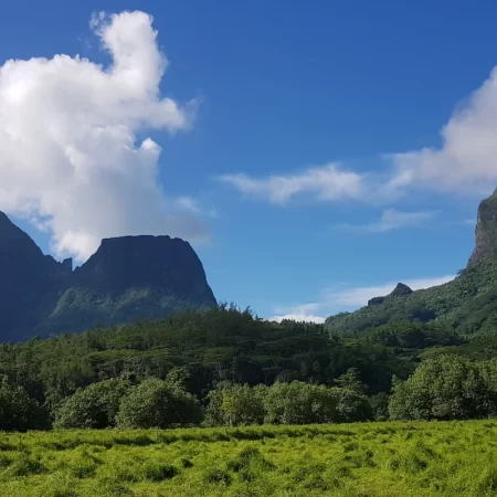 Paysage intérieur de Moorea