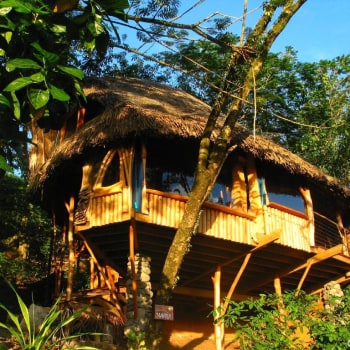 Vanira Lodge cottage