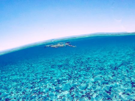 Paz 💙
.
.
.
.
.
#underwater #snorkeling #goprohero #polinesiafrancesa #frenchpolynesia #LoveTahiti #tahitiysusislas #blue #bleue #azul #españolesporelmundo#amoviajar #felizdomingo